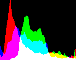 soku_05488.jpg :: ヒストグラム