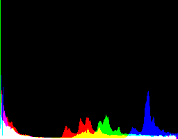 soku_19838.jpg :: ヒストグラム