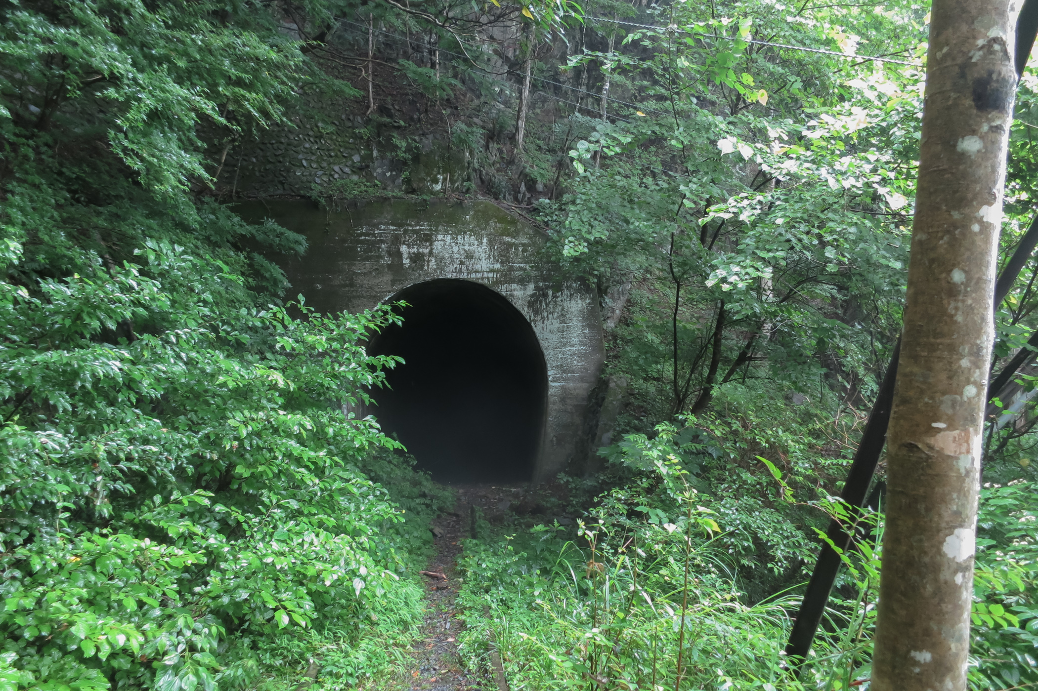 SokuUp :: 風景 自然 廃線 建築 建造物 廃墟 トンネル 昭和二十七年竣工