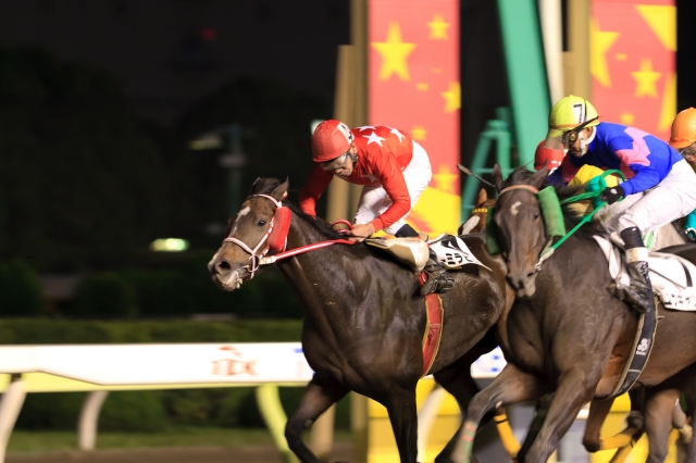 soku_02121.jpg :: 動物 哺乳類 馬 ウマ 運動 スポーツ 競馬 馬 EOS 1DMKⅢ 