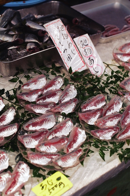 soku_02790.jpg :: 動物 魚類 鯵 アジ 