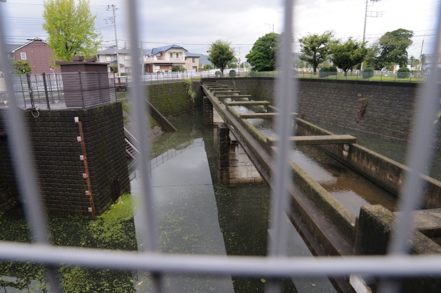 soku_02811.jpg :: 自然 風景 湖 池 調整池 