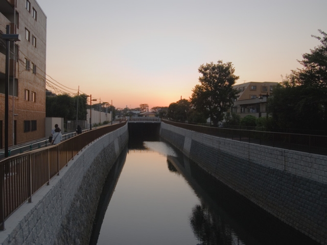 soku_02919.jpg :: 自然 風景 夕日 夕焼け 日没 