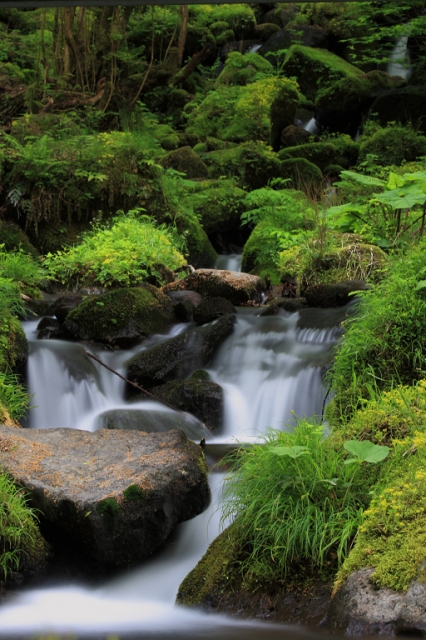 soku_03142.jpg :: 自然 風景 川 河川 