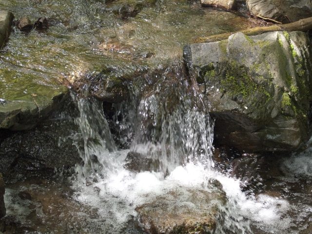 soku_03175.jpg :: 自然 風景 川 河川 水分 