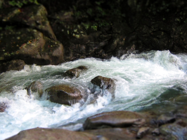 soku_03179.jpg :: PowerShotS95 自然 風景 川 河川 水分 西沢渓谷 ジオラマ ミニチュア 