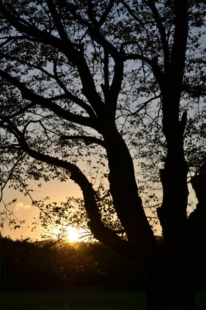 soku_03206.jpg :: 自然 風景 夕日 夕焼け 日没 