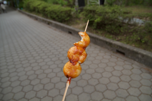 soku_03270.jpg :: 味噌だんご 