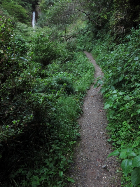 soku_03311.jpg :: PowerShotS95 自然 風景 道 滝 水分 秩父華厳の滝 