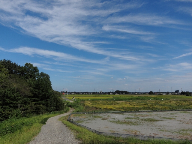 soku_03588.jpg :: 自然 風景 空 雲 緑 公園 八丁湖公園 