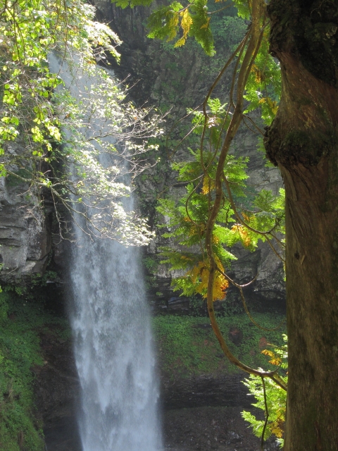 soku_03650.jpg :: PowerShotS95 自然 風景 滝 水分 紅葉 