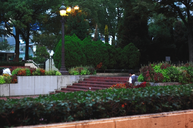 soku_03880.jpg :: 建築 建造物 都市 街 公園 