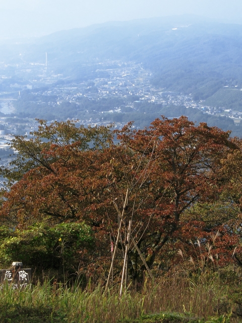 soku_04223.jpg :: PowerShotS95 紅葉 街 美の山公園 