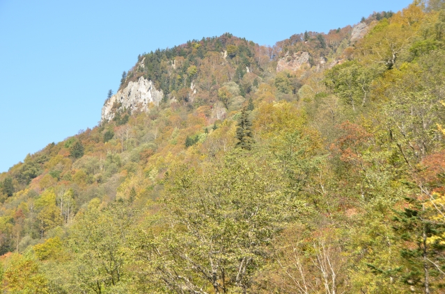 soku_04277.jpg :: 自然 風景 山 紅葉 層雲峡 