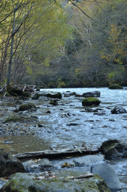 soku_04371.jpg :: 自然 風景 川 河川 層雲峡 石狩川支流 