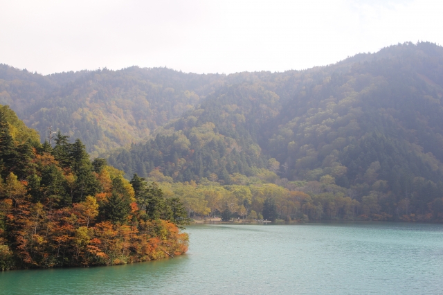 soku_04401.jpg :: 自然 風景 川 河川 紅葉 