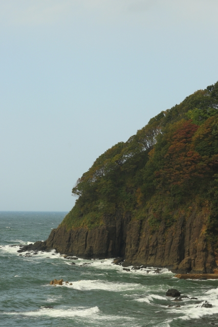 soku_04672.jpg :: 自然 風景 波 海岸 紅葉 崖 by Niigata 