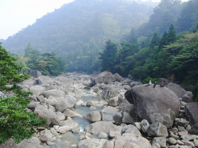 soku_04728.jpg :: 屋久島 