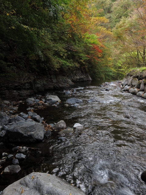 soku_04999.jpg :: PowerShotS95 自然 風景 川 河川 水分 紅葉 