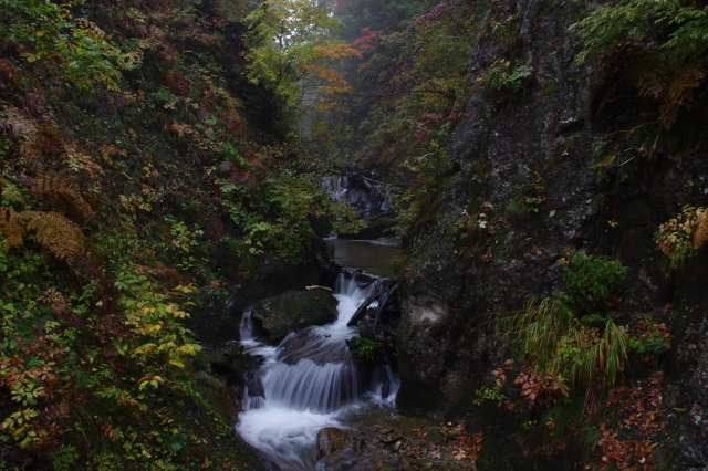 soku_05018.jpg :: 自然 風景 川 河川 水分 