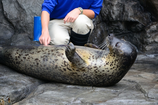 soku_05646.jpg :: 品川水族館 