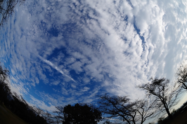 soku_05656.jpg :: 風景 自然 空 雲 秋 