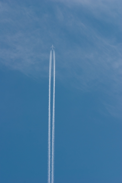 soku_05775.jpg :: 風景 自然 空 飛行機雲 