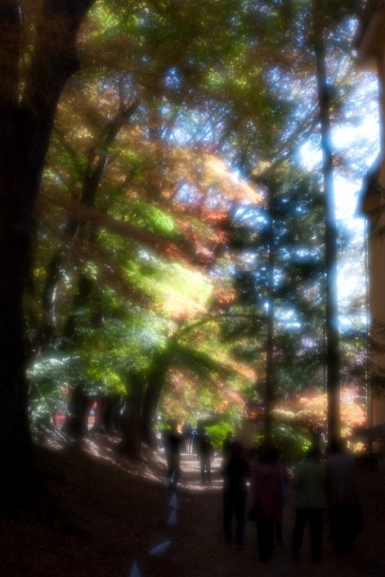 soku_06042.jpg :: 秋冬の行事 紅葉狩り 河口湖 紅葉祭り 