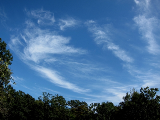 soku_06420.jpg :: PowerShotS95 風景 自然 青空 空 雲 魚眼レンズ フィッシュアイ 