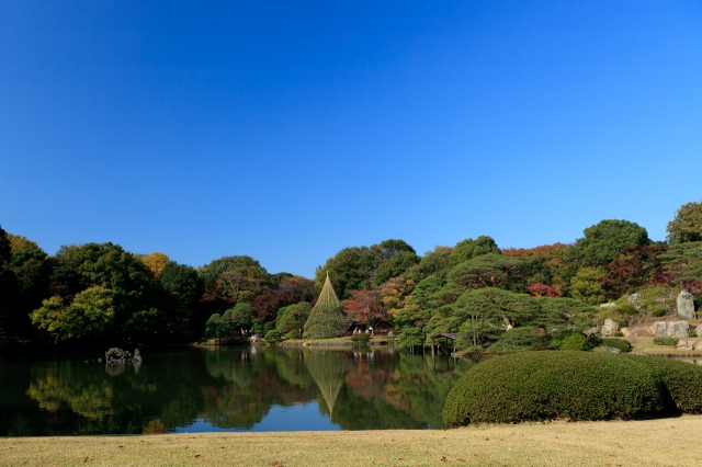 soku_06493.jpg :: 公園 六義園 