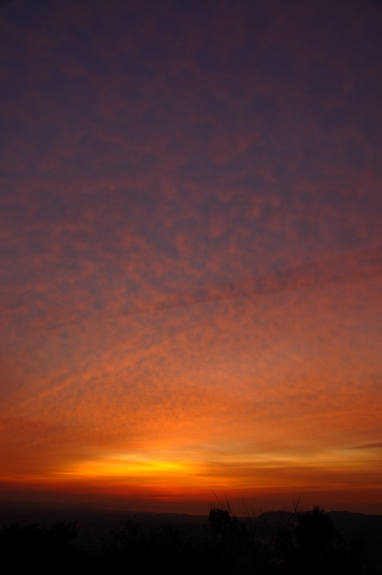 soku_06506.jpg :: 風景 自然 空 朝焼け 