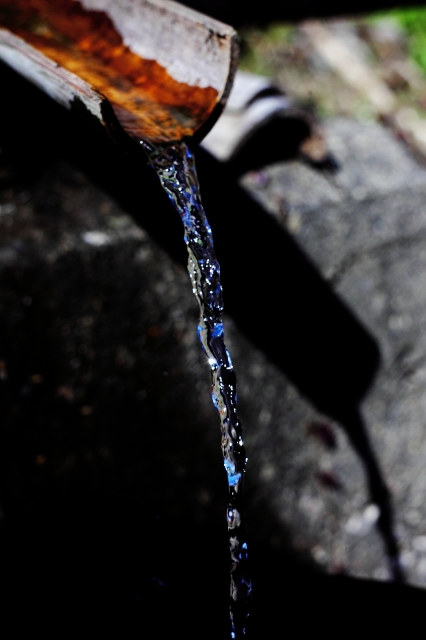 soku_06538.jpg :: 風景 自然 水滴 