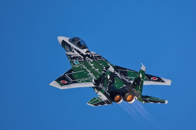 soku_07018.jpg :: 乗り物 交通 航空機 飛行機 戦闘機 F.15DJ 記念塗装 