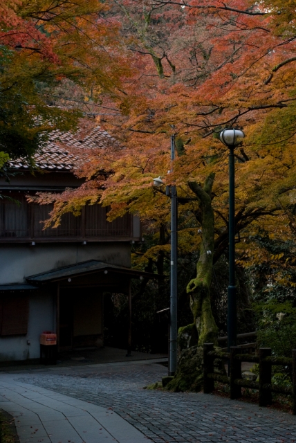 soku_07045.jpg :: 風景 自然 紅葉 