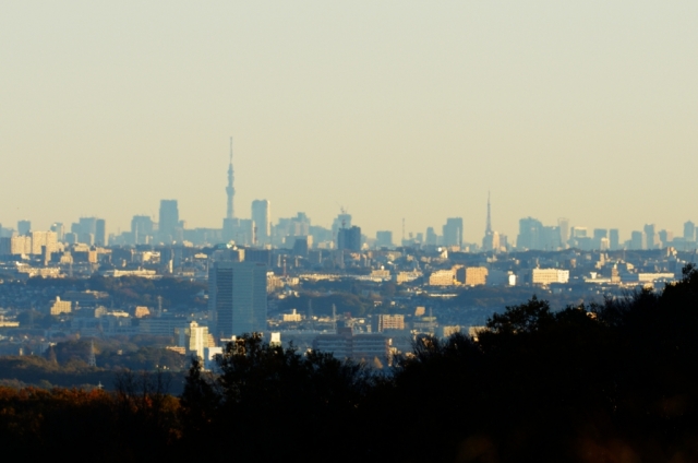 soku_07525.jpg :: 建築 建造物 街並み 都市の風景 東京タワー 塔 タワー 東京スカイツリー 