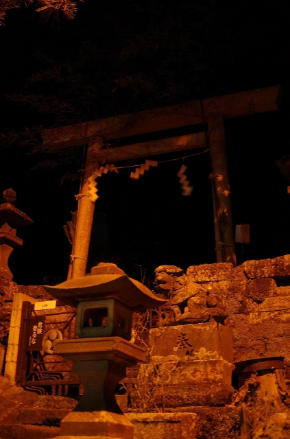 soku_07869.jpg :: 風景 夜景 鎌倉 建築 建造物 街並み 神社仏閣 鳥居 