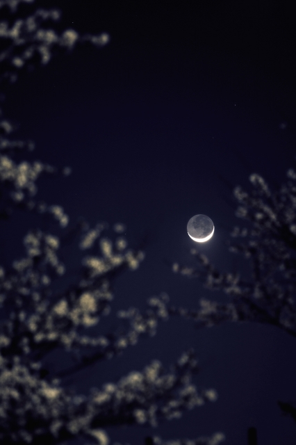 soku_08395.jpg :: 風景 自然 天体 月 三日月 地球照 