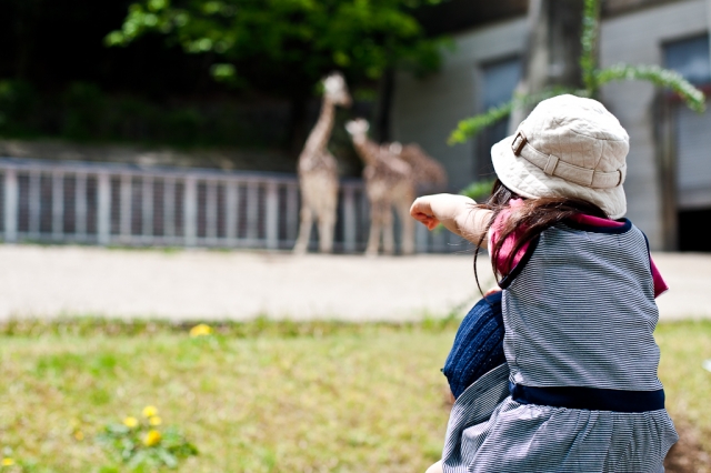 soku_08568.jpg :: 動物園 東山動物園 人物 子供 少女 女の子 