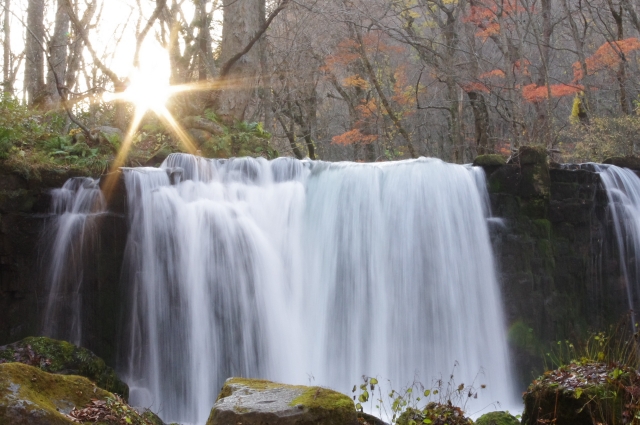 soku_08670.jpg :: 風景 自然 滝 奥入瀬の滝 