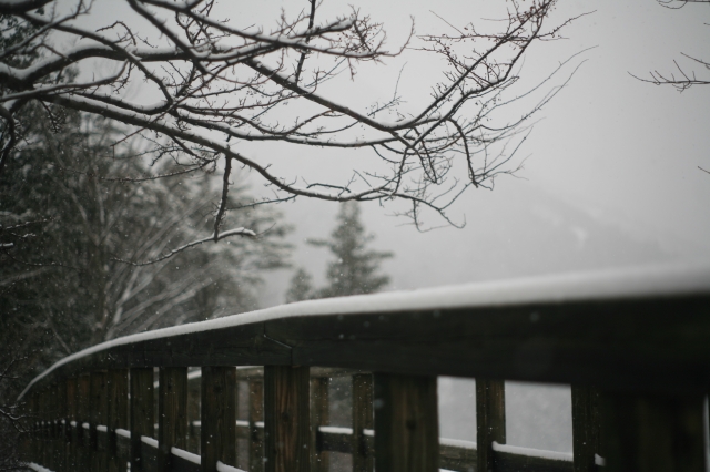 soku_08942.jpg :: 風景 自然 雪景色 雪山 日光 