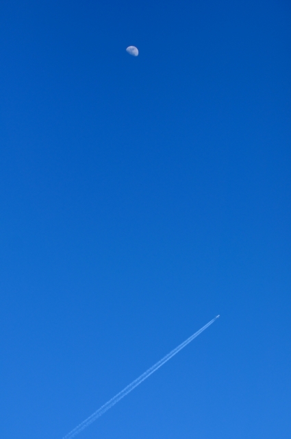 soku_08954.jpg :: 風景 自然 空 飛行機 月 空 青空 