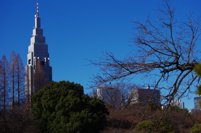 soku_08963.jpg :: 公園 新宿御苑 