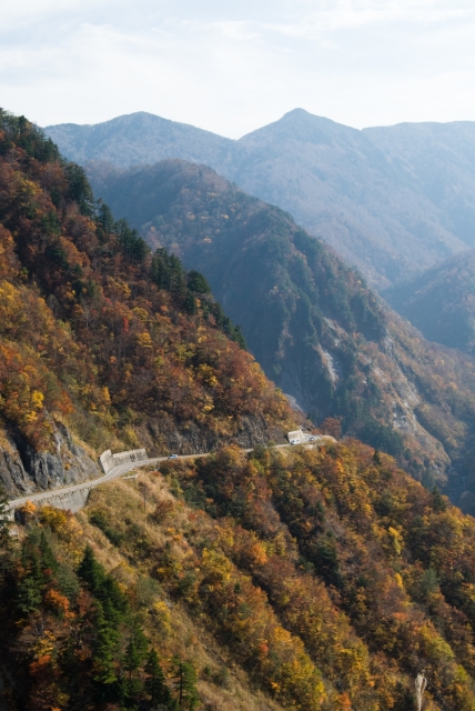 soku_09288.jpg :: 風景 自然 山 スパー林道 