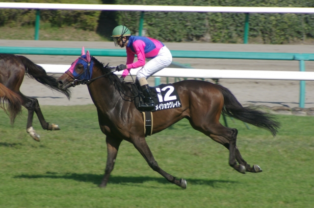 soku_09310.jpg :: 運動 スポーツ 競馬 馬 