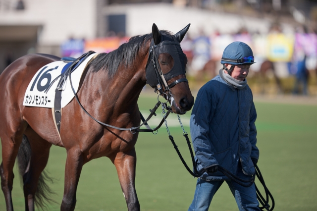 soku_09317.jpg :: 運動 スポーツ 競馬 馬 