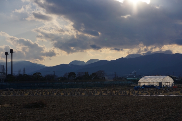 soku_09324.jpg :: 箱根二子山 風景 自然 田畑 水田 休耕田 