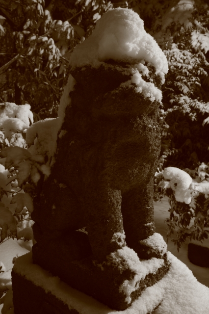 soku_09380.jpg :: 風景 雪景色 建築 建造物 神社 狛犬 by Niigata 