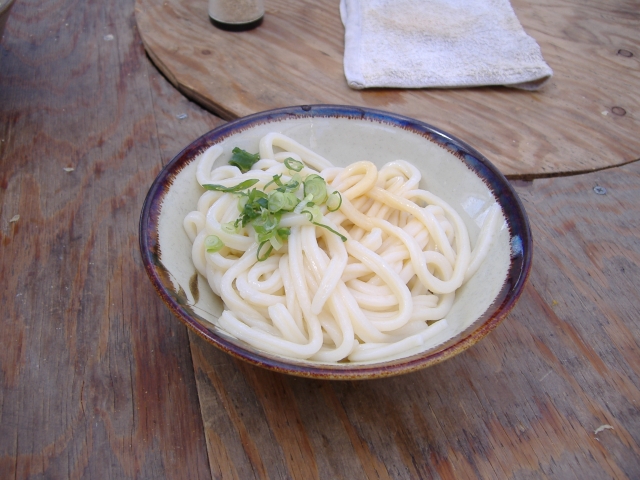 soku_09514.jpg :: 食べ物 麺類 讃岐うどん 池上 