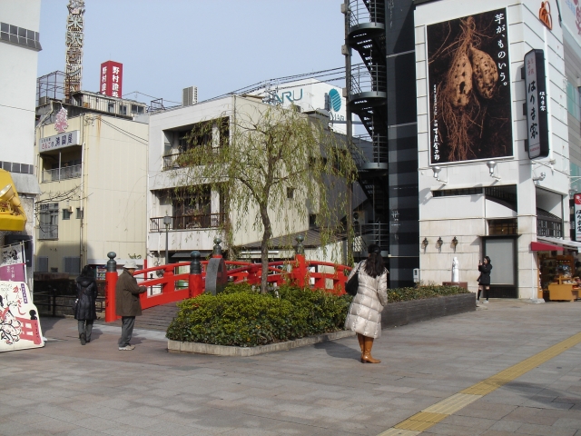 soku_09968.jpg :: 建築 建造物 橋 高知 はりまや橋 