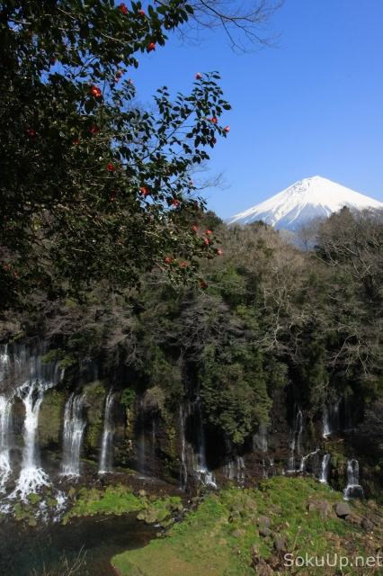 soku_10053.jpg :: 風景 自然 山 富士山 